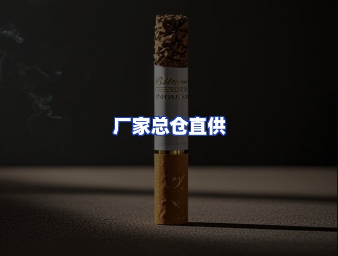 专业团队